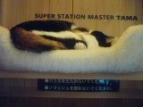 120211_1225~01.jpg