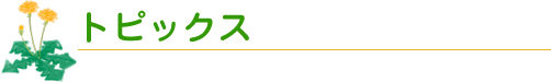 gsbNX